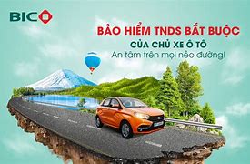 Bảo Hiểm Trách Nhiệm Dân Sự Ô Tô