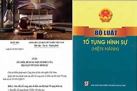 Điều 206 Bộ Luật Tố Tụng Hình Sự Năm 2015