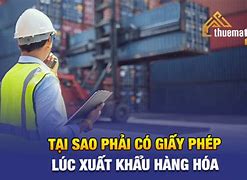 Xuất Khẩu Gạo Cần Giấy Phép Gì 2023 Là Bao Nhiêu Tiền